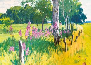 Sommerblumen am Birkenrand