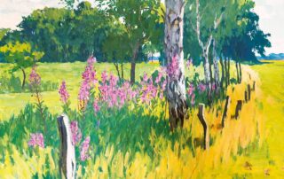 Sommerblumen am Birkenrand