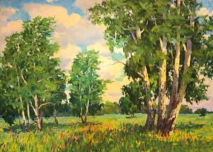 Sommerwiese mit Birken