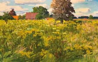 Sommerwiese am Gehöft