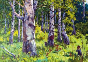 Birkenwald im Sommer